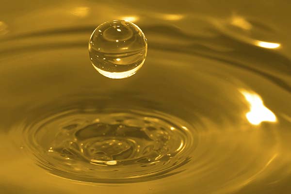 Premium Oils and Fluids for Compressor and Hydraulic Systems - Fai Filtri Canada